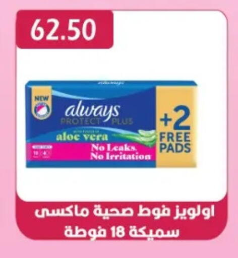 available at Euromarche in Egypt - Cairo