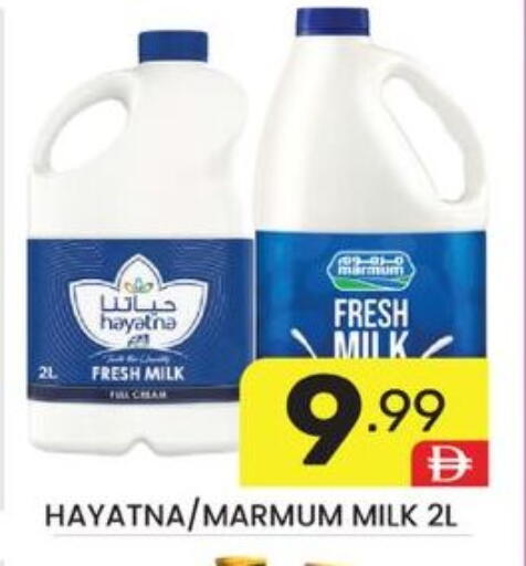 available at دريم نايت هايبرماركت in الإمارات العربية المتحدة , الامارات - دبي