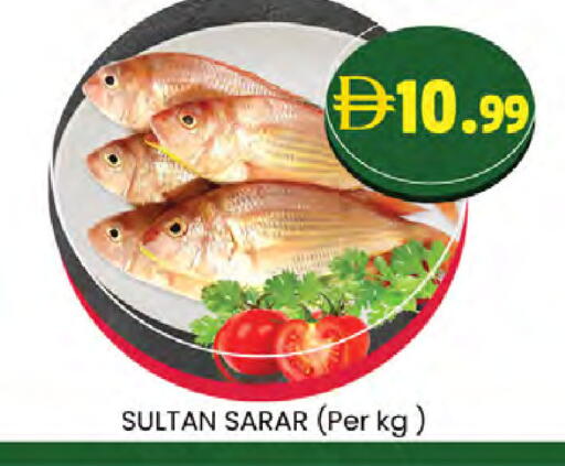 available at ك. الم. للتجارة in الإمارات العربية المتحدة , الامارات - ٱلْعَيْن‎