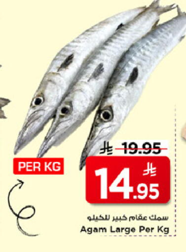 available at مارك & سيف in مملكة العربية السعودية, السعودية, سعودية - الخبر‎