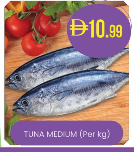 available at Al Safa in UAE - Abu Dhabi