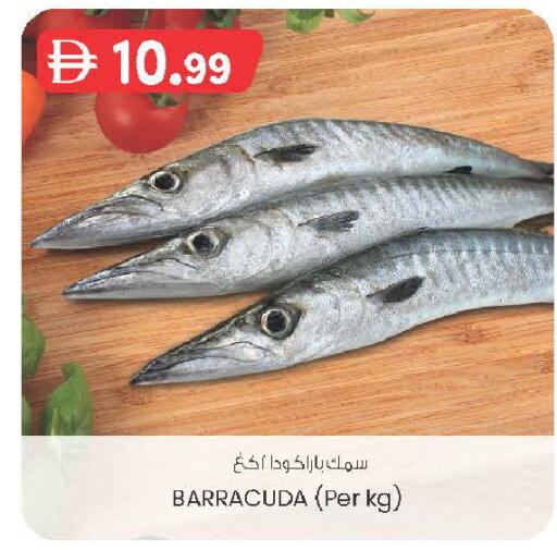 available at K M Trading  in UAE - Sharjah / Ajman