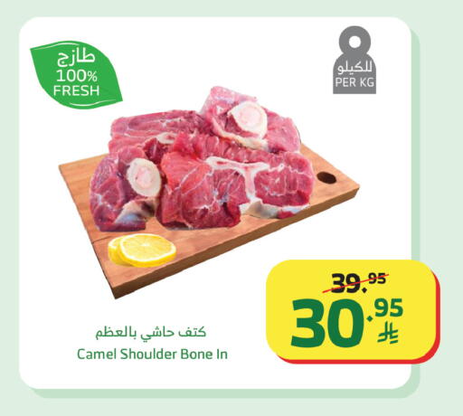 available at الراية in مملكة العربية السعودية, السعودية, سعودية - الطائف