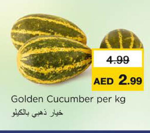 Cucumber available at نستو هايبرماركت in الإمارات العربية المتحدة , الامارات - رَأْس ٱلْخَيْمَة