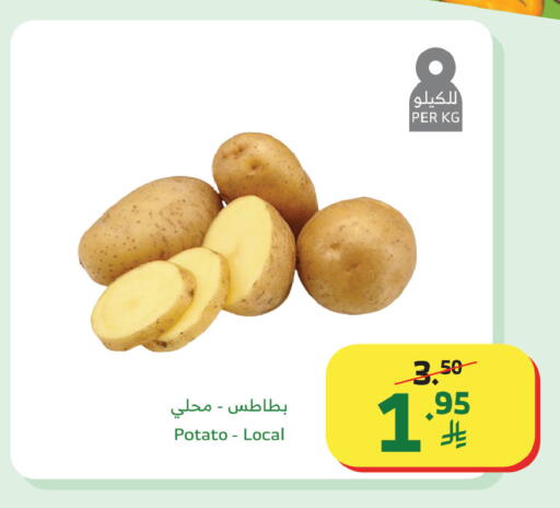 Potato available at الراية in مملكة العربية السعودية, السعودية, سعودية - نجران