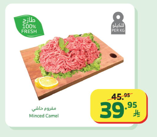 available at Al Raya in KSA, Saudi Arabia, Saudi - Al Qunfudhah