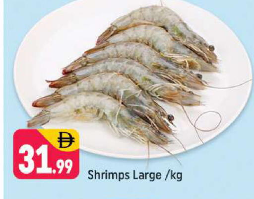 available at شكلان ماركت in الإمارات العربية المتحدة , الامارات - دبي