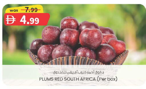 Plums from South Africa available at ك. الم. للتجارة in الإمارات العربية المتحدة , الامارات - الشارقة / عجمان