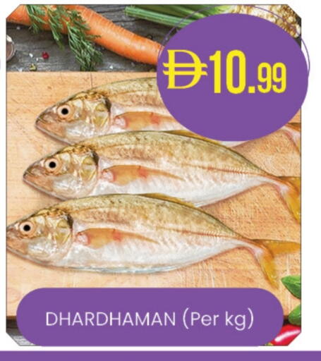 available at Al Safa in UAE - Abu Dhabi