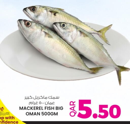 available at أنصار جاليري in قطر - الريان