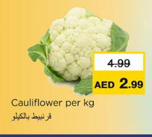 Cauliflower available at نستو هايبرماركت in الإمارات العربية المتحدة , الامارات - رَأْس ٱلْخَيْمَة