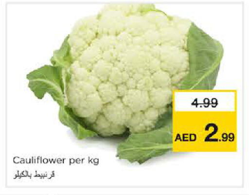 Cauliflower available at نستو هايبرماركت in الإمارات العربية المتحدة , الامارات - الشارقة / عجمان