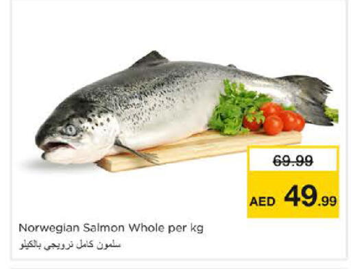 available at Nesto Hypermarket in UAE - Sharjah / Ajman