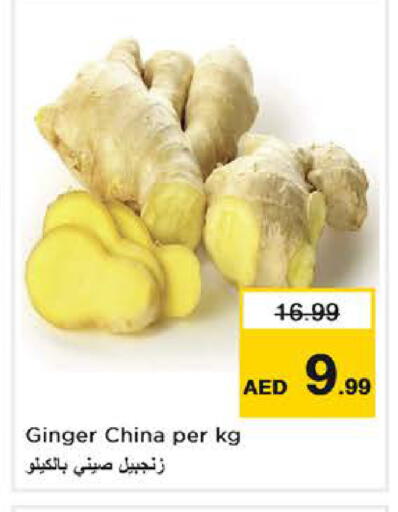 available at نستو هايبرماركت in الإمارات العربية المتحدة , الامارات - دبي