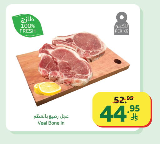 available at Al Raya in KSA, Saudi Arabia, Saudi - Yanbu