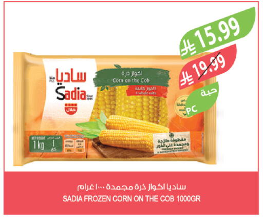 available at Farm  in KSA, Saudi Arabia, Saudi - Abha