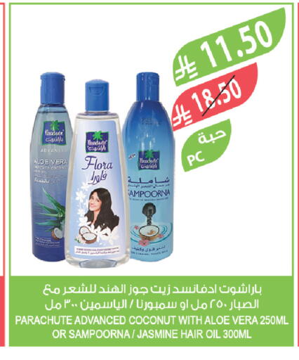 Coconut available at Farm  in KSA, Saudi Arabia, Saudi - Al Bahah