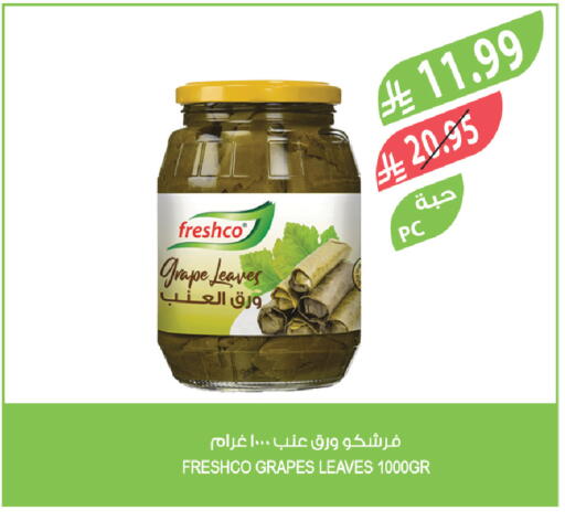 Grapes available at Farm  in KSA, Saudi Arabia, Saudi - Yanbu