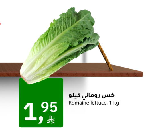 available at ميم سوق in مملكة العربية السعودية, السعودية, سعودية - الأحساء‎