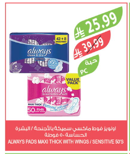 available at المزرعة in مملكة العربية السعودية, السعودية, سعودية - الباحة