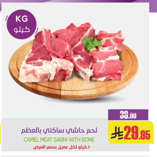 available at سبت in مملكة العربية السعودية, السعودية, سعودية - بريدة