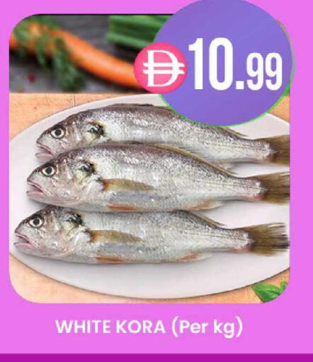 available at ك. الم. للتجارة in الإمارات العربية المتحدة , الامارات - ٱلْعَيْن‎