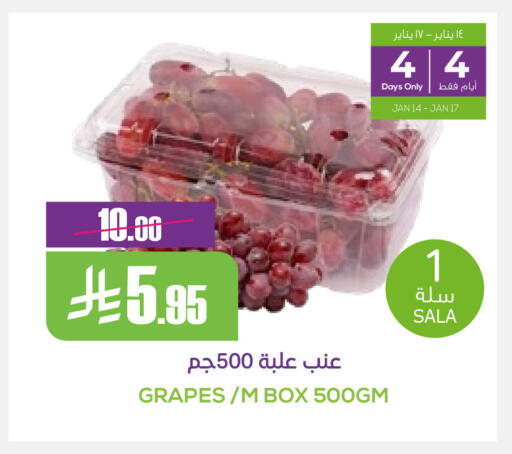 Grapes available at سبت in مملكة العربية السعودية, السعودية, سعودية - بريدة
