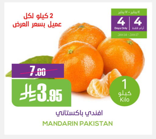 Mandarin from Pakistan available at سبت in مملكة العربية السعودية, السعودية, سعودية - بريدة