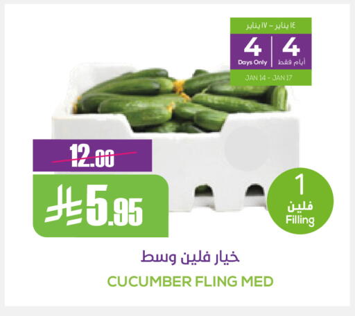 Cucumber available at سبت in مملكة العربية السعودية, السعودية, سعودية - بريدة