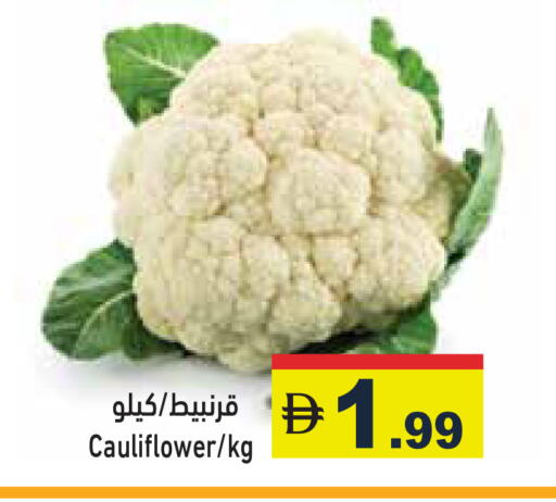 available at أسواق رامز in الإمارات العربية المتحدة , الامارات - الشارقة / عجمان