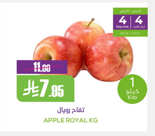 Apple available at سبت in مملكة العربية السعودية, السعودية, سعودية - بريدة