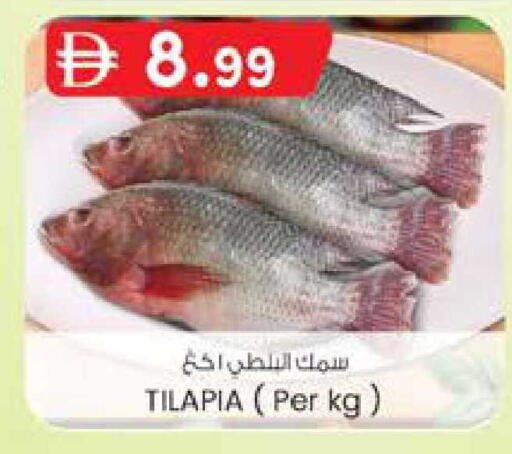 available at ك. الم. للتجارة in الإمارات العربية المتحدة , الامارات - ٱلْفُجَيْرَة‎