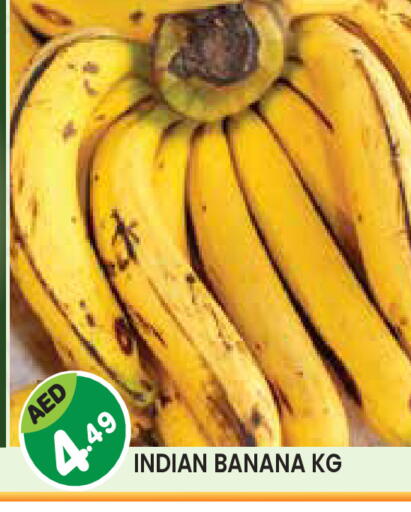 Banana from India available at سنابل بني ياس in الإمارات العربية المتحدة , الامارات - أم القيوين‎