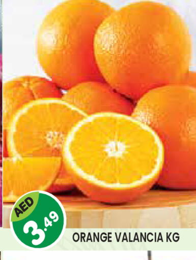 Orange from Valancia available at Baniyas Spike  in UAE - Umm al Quwain