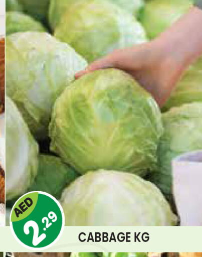 Cabbage available at Baniyas Spike  in UAE - Umm al Quwain