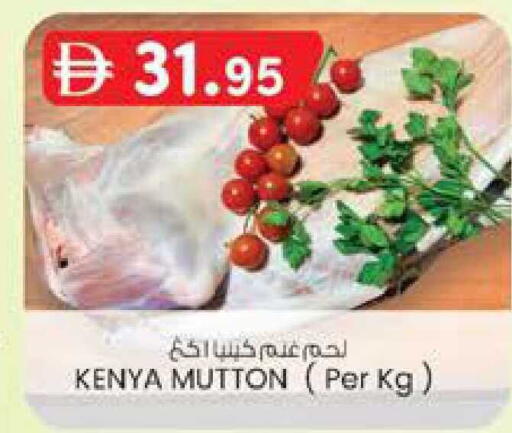 available at ك. الم. للتجارة in الإمارات العربية المتحدة , الامارات - ٱلْفُجَيْرَة‎