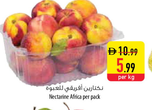 Nectarine available at Safeer Market in UAE - Abu Dhabi