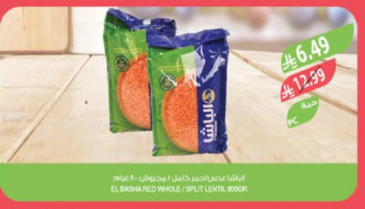 available at Farm  in KSA, Saudi Arabia, Saudi - Tabuk