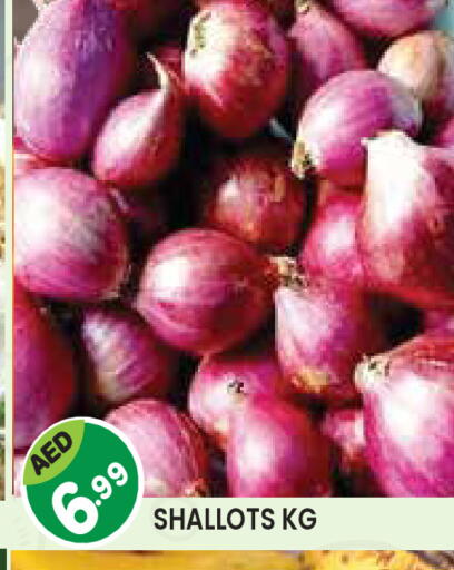 available at سنابل بني ياس in الإمارات العربية المتحدة , الامارات - أم القيوين‎