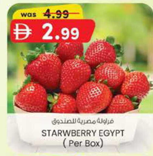 from Egypt available at ك. الم. للتجارة in الإمارات العربية المتحدة , الامارات - ٱلْفُجَيْرَة‎