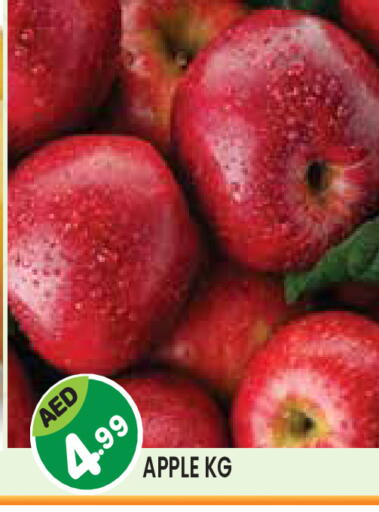 Apple available at سنابل بني ياس in الإمارات العربية المتحدة , الامارات - أم القيوين‎
