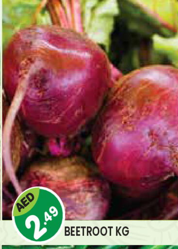 Beetroot available at Baniyas Spike  in UAE - Umm al Quwain