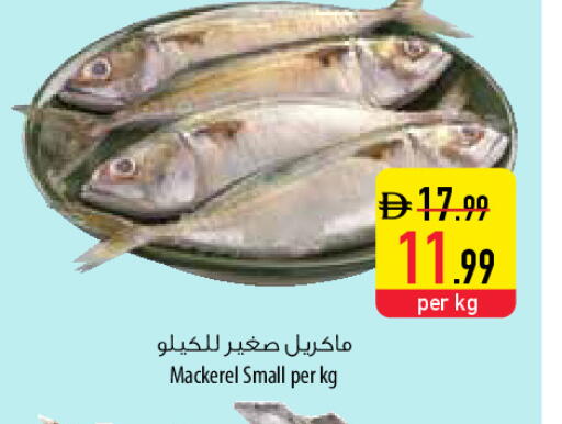 available at السفير ماركت in الإمارات العربية المتحدة , الامارات - ٱلْفُجَيْرَة‎