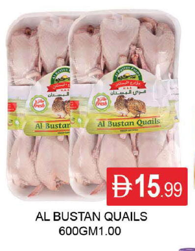 available at المدينة in الإمارات العربية المتحدة , الامارات - دبي