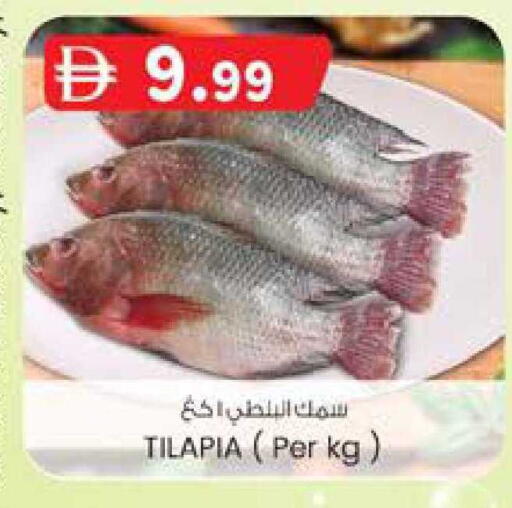 available at ك. الم. للتجارة in الإمارات العربية المتحدة , الامارات - الشارقة / عجمان