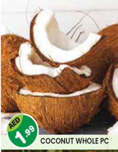 Coconut available at Baniyas Spike  in UAE - Umm al Quwain