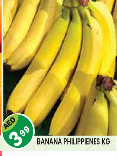 Banana available at Baniyas Spike  in UAE - Umm al Quwain