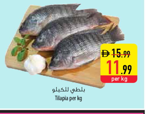 available at السفير ماركت in الإمارات العربية المتحدة , الامارات - ٱلْفُجَيْرَة‎