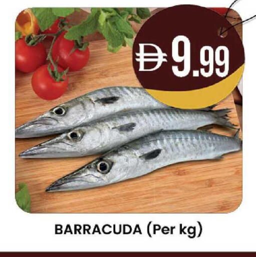 available at ك. الم. للتجارة in الإمارات العربية المتحدة , الامارات - ٱلْعَيْن‎