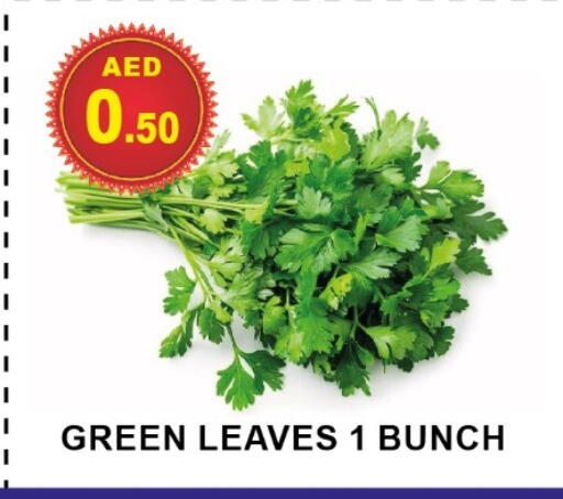 available at مركز الوحدة للتخفيضات in الإمارات العربية المتحدة , الامارات - الشارقة / عجمان